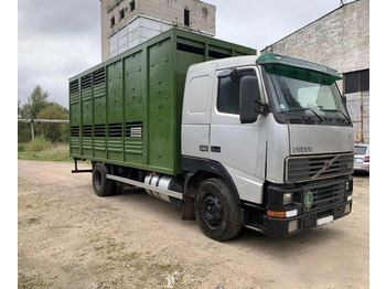 VOLVO FH12 340 - Camion bétaillère