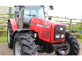 Massey Ferguson 6290  - Tracteur agricole: photos 2