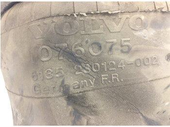 Suspension pneumatique Volvo FH (01.05-): photos 4