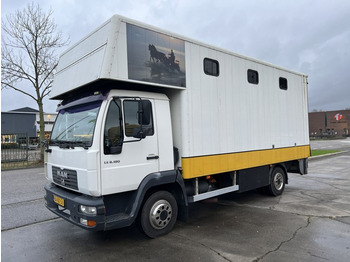 Camion chevaux MAN