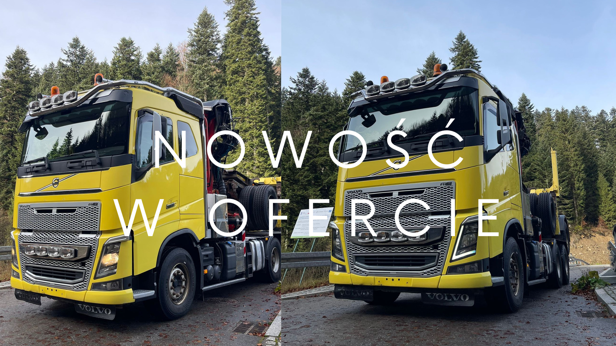 JANUSZKI SC undefined: photos 2