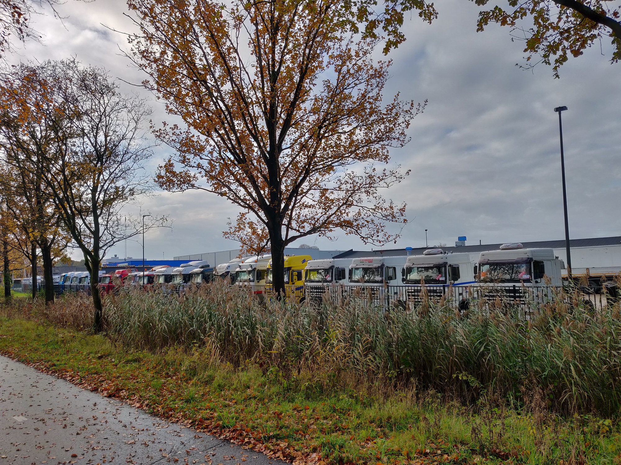 Truck Trading Holland undefined: photos 17