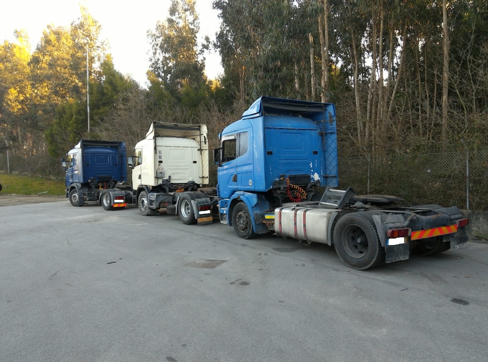 Britannia Export Consultants Limited undefined: photos 17