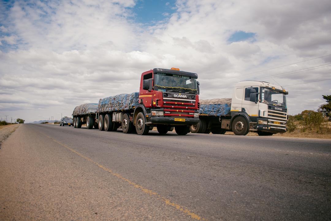 Britannia Export Consultants Limited undefined: photos 21