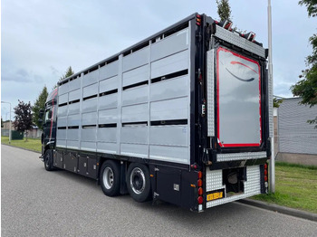 Camion bétaillère DAF XF 460 2017 berdex 3 lagen varkens: photos 2