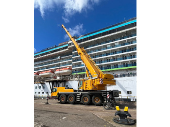 Grue mobile LIEBHERR LTM 1100