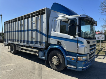 Camion bétaillère SCANIA P 310