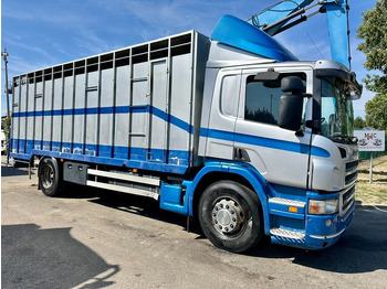 Camion bétaillère SCANIA P 310