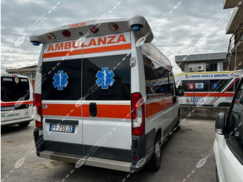 Ambulance FIAT FIAT 290 DUCATO: photos 2