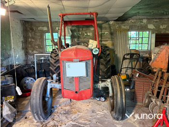 Tracteur agricole Traktor - Ferguson, Grålle: photos 2