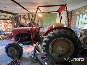 Tracteur agricole Traktor - Ferguson, Grålle: photos 4
