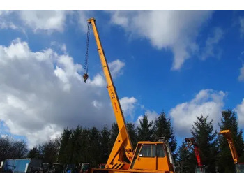 Grue mobile DEMAG