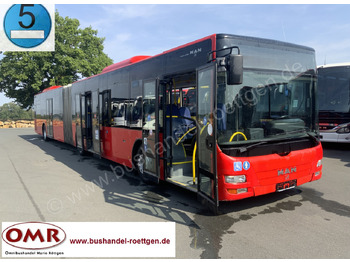 Bus articulé MAN Lion's City A23