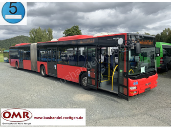 Bus articulé MAN Lion's City A23