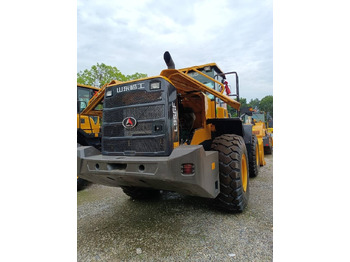 Crédit-bail de SDLG L 956 F  SDLG L 956 F: photos 4