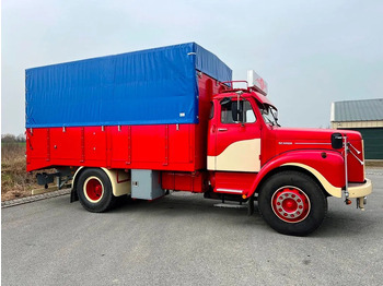 Crédit-bail de Scania L 80 Super total renovation Scania L 80 Super total renovation: photos 3