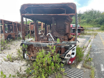 Bus IVECO