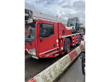 Grue tout-terrain TEREX