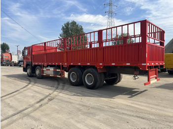 Camion plateau Sinotruk Howo Howo 8*4: photos 2