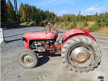 Tracteur agricole Massey Ferguson 35 traktori alkuperäiskuntoinen, katso video!: photos 2