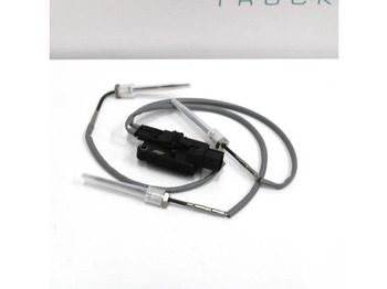 Système d'échappement DAF XF 106