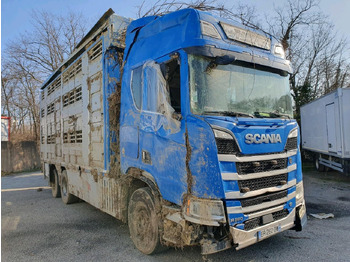Camion bétaillère SCANIA R 580