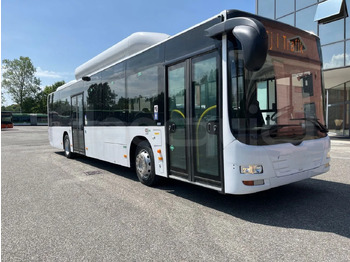 Bus urbain MAN Lion's City A21