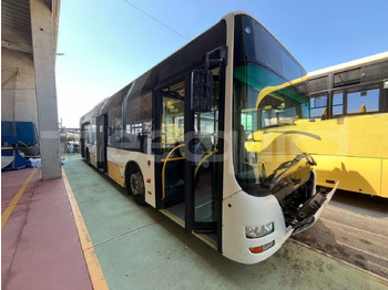 Bus urbain MAN Lion's City