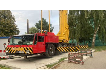 Grue tout-terrain SPIERINGS