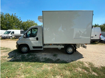 Utilitaire frigorifique neuf Peugeot Boxer L2 Heavy Kühlkoffer Peugeot Boxer L2 Heavy Kühlkoffer: photos 2 Utilitaire frigorifique neuf Peugeot Boxer L2 Heavy Kühlkoffer Peugeot Boxer L2 Heavy Kühlkoffer: photos 2