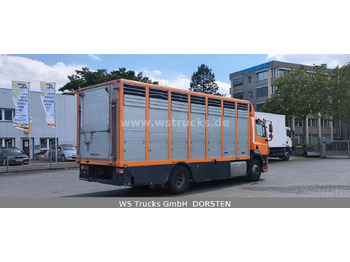 Camion chevaux DAF CF 400 Menke Einstock: photos 5