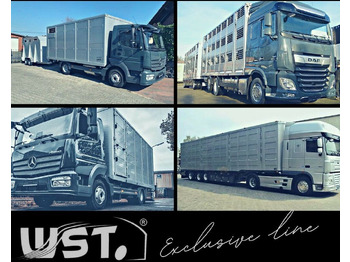 Semi-remorque frigorifique Schmitz Cargobull Kühlauflieger  Blumenbreit Vector 1550: photos 5