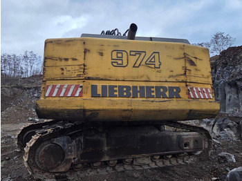 Pelle sur chenille LIEBHERR R 974
