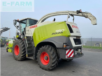 Ensileuse CLAAS Jaguar 950