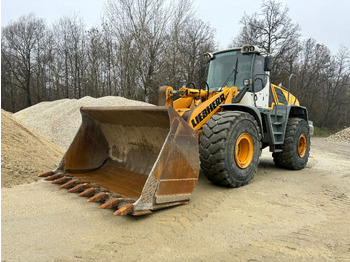 Chargeuse sur pneus Liebherr L 576 2plus2: photos 3