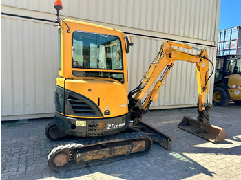 Mini pelle Hyundai Robex25Z-9AK: photos 3