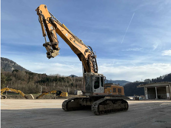 Pelle sur chenille LIEBHERR R 954