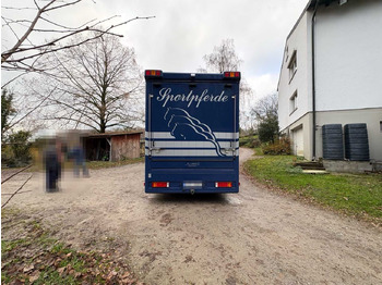 Remorque MERCEDES-BENZ ATEGO - HORSE TRANSPORTER: photos 4