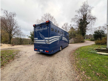 Remorque MERCEDES-BENZ ATEGO - HORSE TRANSPORTER: photos 5
