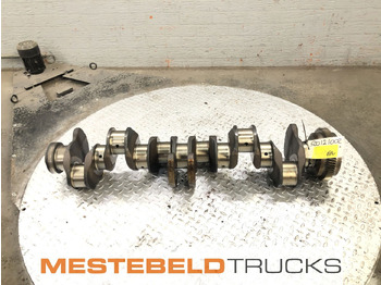 Moteur RENAULT Magnum