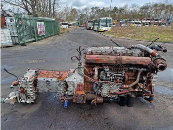 Pièces de rechange IVECO TurboStar
