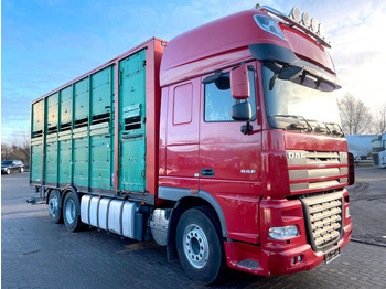Camion bétaillère DAF XF 105 460