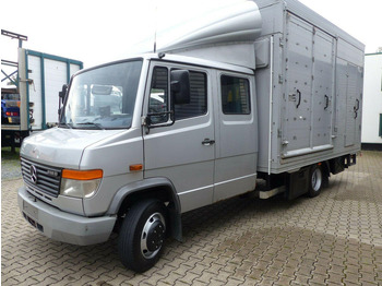 Camion chevaux MERCEDES-BENZ Vario