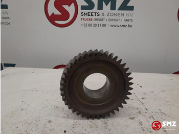 Boîte de vitesse pour Camion ZF Occ tandwiel ZF: photos 3