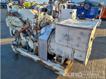 Groupe électrogène Skid Mounted Generator, Cummins Engine: photos 1
