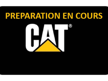 Pelle sur chenille CATERPILLAR 313