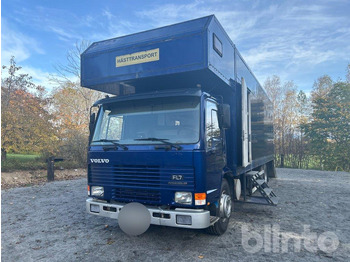 Camion chevaux VOLVO FL7