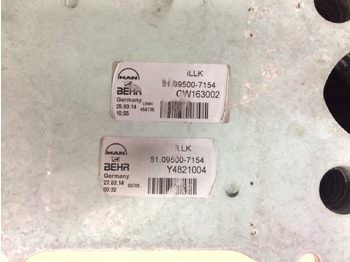 Moteur et pièces pour Camion RADIATORE ARIA COMBURENTE - MOTORI MAN D2066 - D2676 - EURO 6: photos 5
