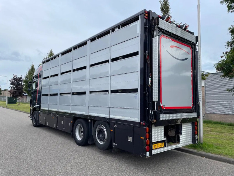 DAF XF 460 2017 berdex 3 lagen varkens - Camion bétaillère: photos 2 DAF XF 460 2017 berdex 3 lagen varkens - Camion bétaillère: photos 2