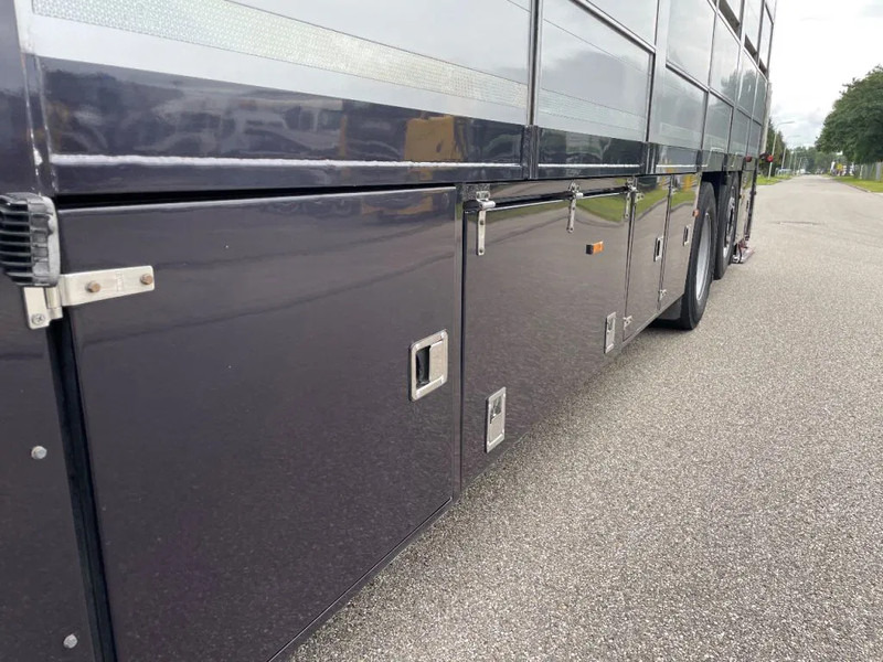 Camion bétaillère DAF XF 460 2017 berdex 3 lagen varkens: photos 6